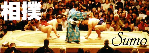 Sumo wrestlers ready for their bout